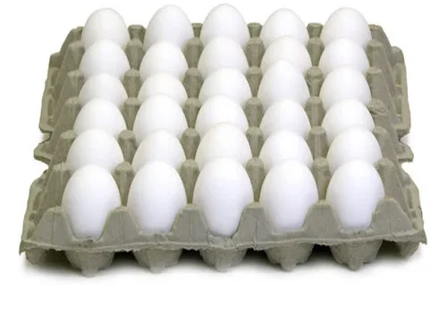 organic-white-poultry-eggs-500x500